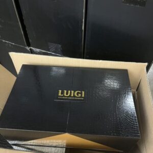 Luigi Disposable V5 Masterbox