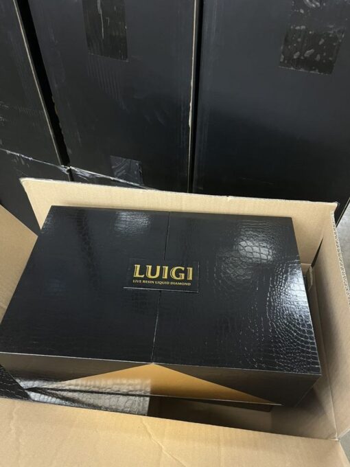 Luigi Disposable V5 Masterbox